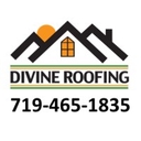 Divine Roofing logo