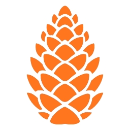 diyaar.pk logo