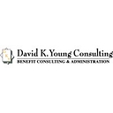 David K. Young Consulting, Llc logo