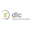 Datalink Consulting Inc. logo
