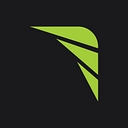 Digital Limelight Media logo