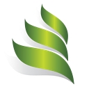 Dynamic Management Solutions logo
