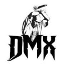 dmX logo