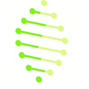 dnA Consulting