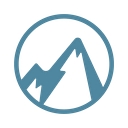 Data Networks Corporation logo