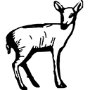 Doe Bay Resort & Retreat logo