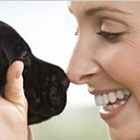 DOG by Dr Lisa