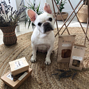 dogdelitreats.com