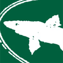 Dogfish Head logo