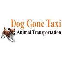Doggonetaxi logo