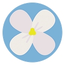 Dogwood Autism Services