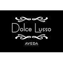 Dolce Lusso Llc logo