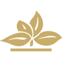 The Aspenwood Company