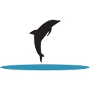 Dolphin Insulation Inc. logo