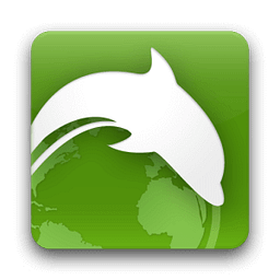 Dolphin Solutions Inc