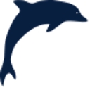 Dolphin Shipping logo