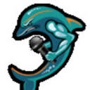 dolphinstalk.com logo