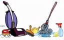 Domestic Solutions logo