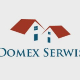 Domex Limited logo