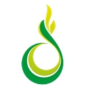 Dominic Systems Limited logo