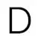Dominion Customs Consultants logo