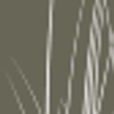 Donald Pell Gardens logo