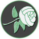Daughters of the Nile Foundation logo