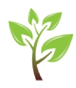 Donoma Software logo