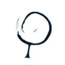 Donors Capital Fund Inc logo