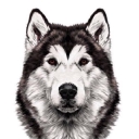 doogweb.es logo