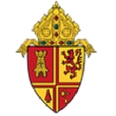 Diocese Of St. Petersburg logo