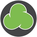 Dotser Ltd. logo