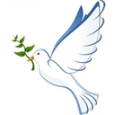 Dove Group logo