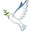 Dove Group, Llc logo