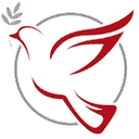 Dove Home Care Agency Ltd logo