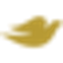 Dove Men+Care logo