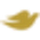 Dove Men+Care logo