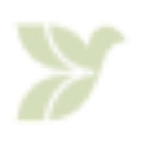 Dove Recovery logo
