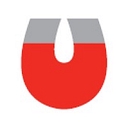 Dowling Magnets logo
