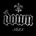 down-nola.com icon