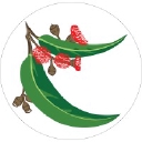 Downes Wholesale Nursery logo