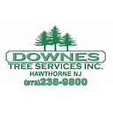 Downes Tree Service logo