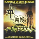 Downhole Drilling Services, Llc logo