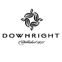 Downright logo