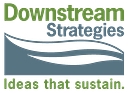 Downstream Strategies logo