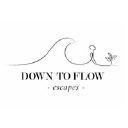 Down To Flow Escapes Ltd logo