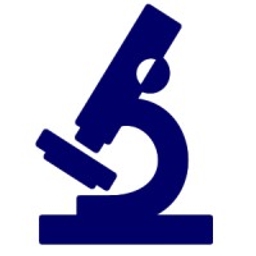 DP