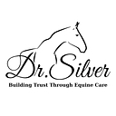 Dr Silver logo