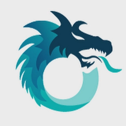 Dragon Information Systems Limited logo