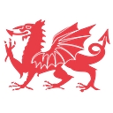 Dragon Packaging Limited logo